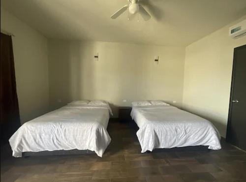 Hotel & Hostal 230 Valladolid  Bagian luar foto
